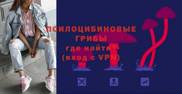 круглые Гусиноозёрск