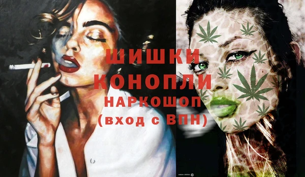 spice Гусь-Хрустальный