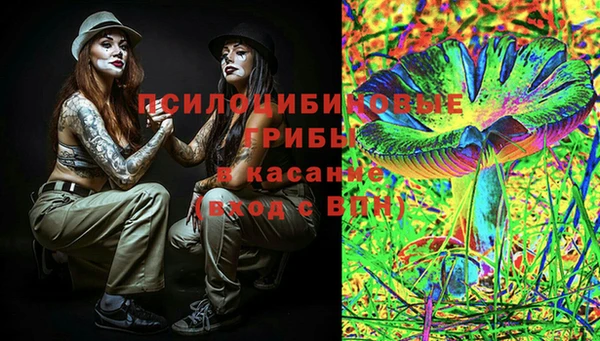 spice Гусь-Хрустальный