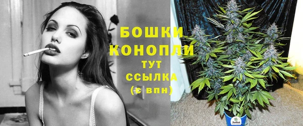 кокс Гусев