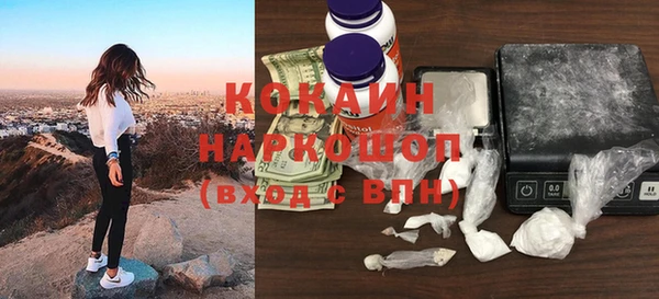 кокс Гусев