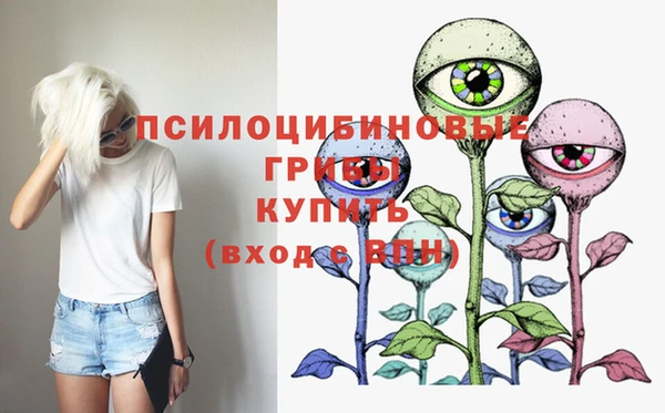 круглые Гусиноозёрск