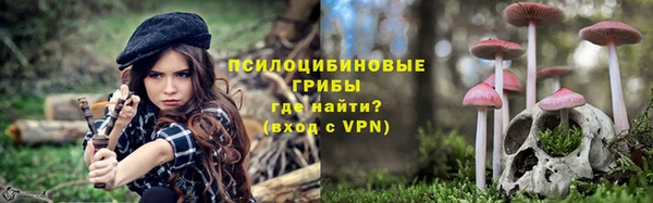 круглые Гусиноозёрск