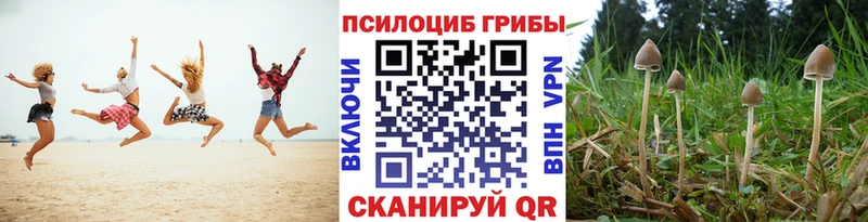 маркетплейс состав  Краснозаводск  Галлюциногенные грибы Psilocybine cubensis 
